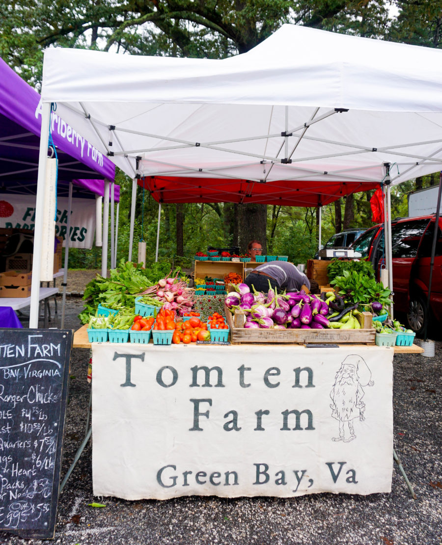 amy-littleson-from-i-believe-in-pink-at-the-richmond-farmers-market-wearing-lauren-james-flannet-and-vest-22