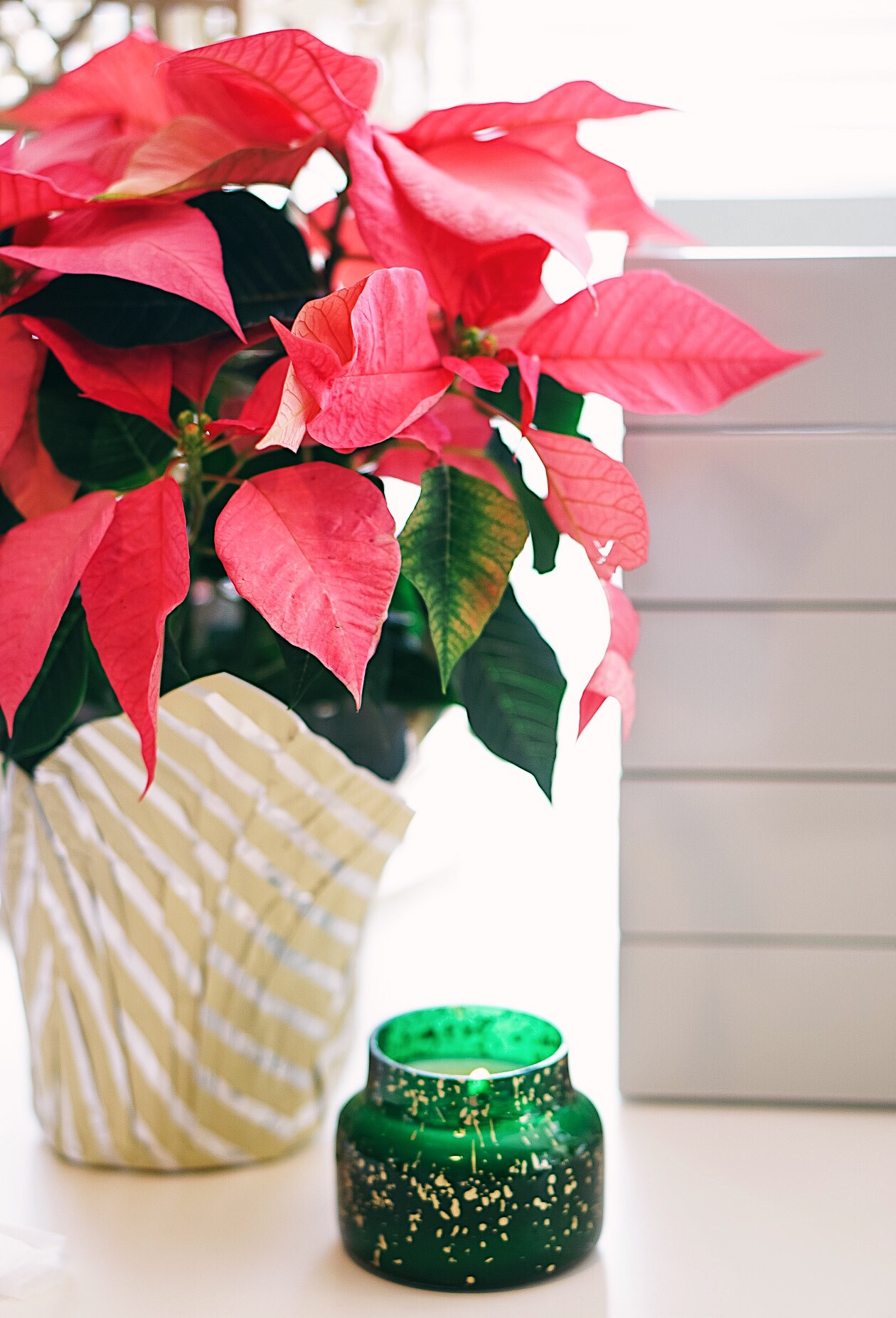 PB Teen bedroom holiday gifts